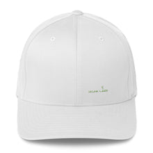 The Fitted Cap