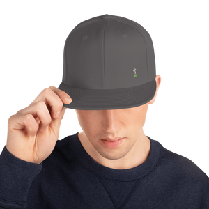 The Original Snapback Swag Hat