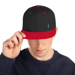 The Original Snapback Swag Hat